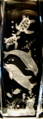 dunhungco003007.jpg