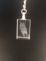 dunhungco008004.jpg