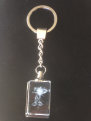 dunhungco008007.jpg