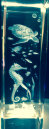 dunhungco010001.jpg