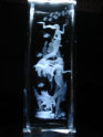 dunhungco010002.jpg