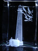 dunhungco013015.jpg