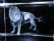 dunhungco013017.jpg