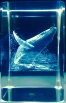 dunhungco014001.jpg