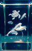 dunhungco014004.jpg