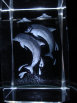 dunhungco014015.jpg
