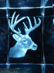 dunhungco014016.jpg