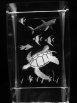 dunhungco016013.jpg