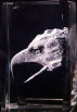 dunhungco017003.jpg