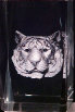 dunhungco017004.jpg
