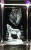 dunhungco017017.jpg