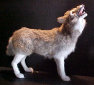 dunhungco030004.jpg