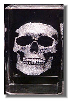 D9